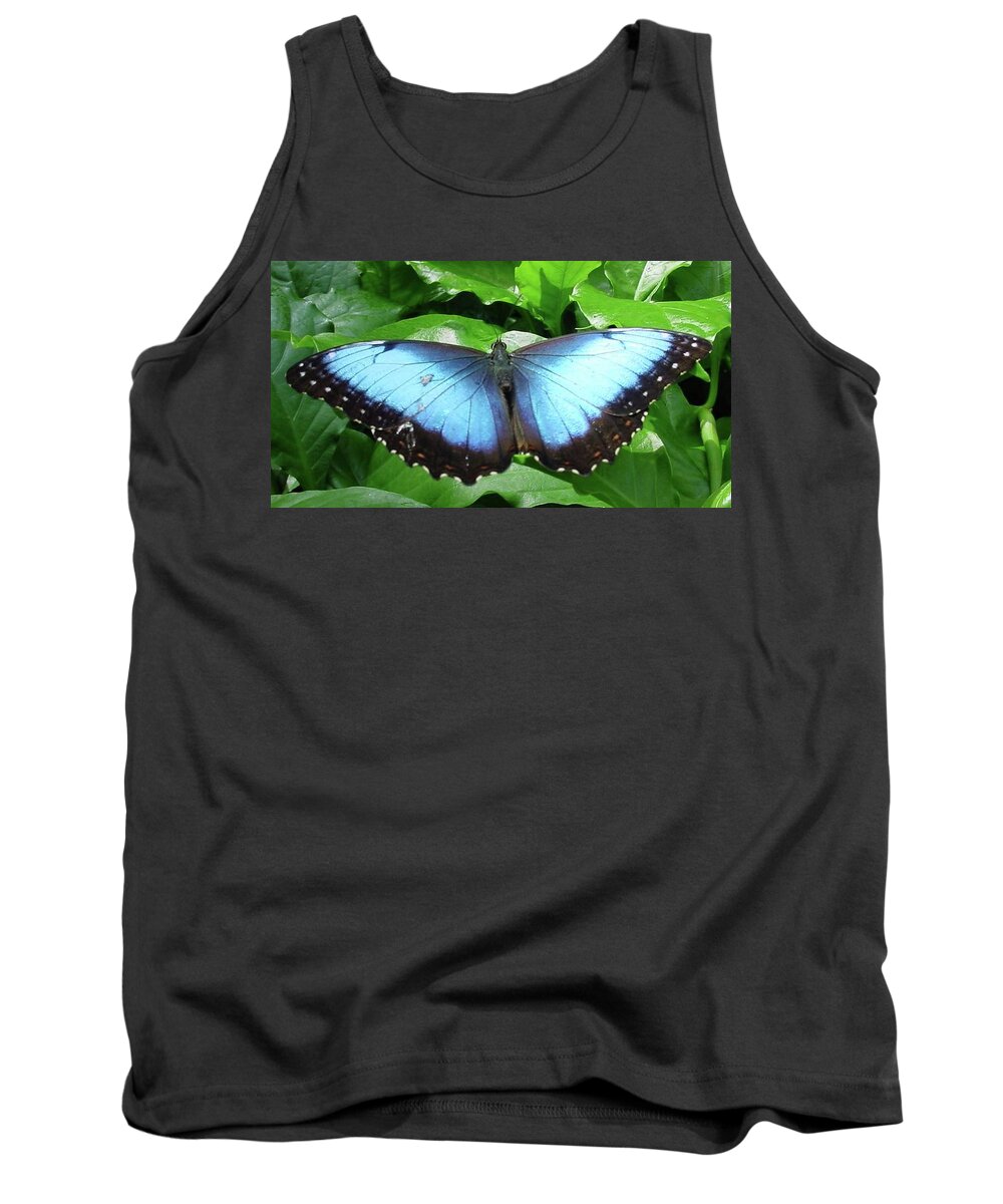 Butterflies Tank Top featuring the photograph Blue Beauty by Pour Your heART Out Artworks