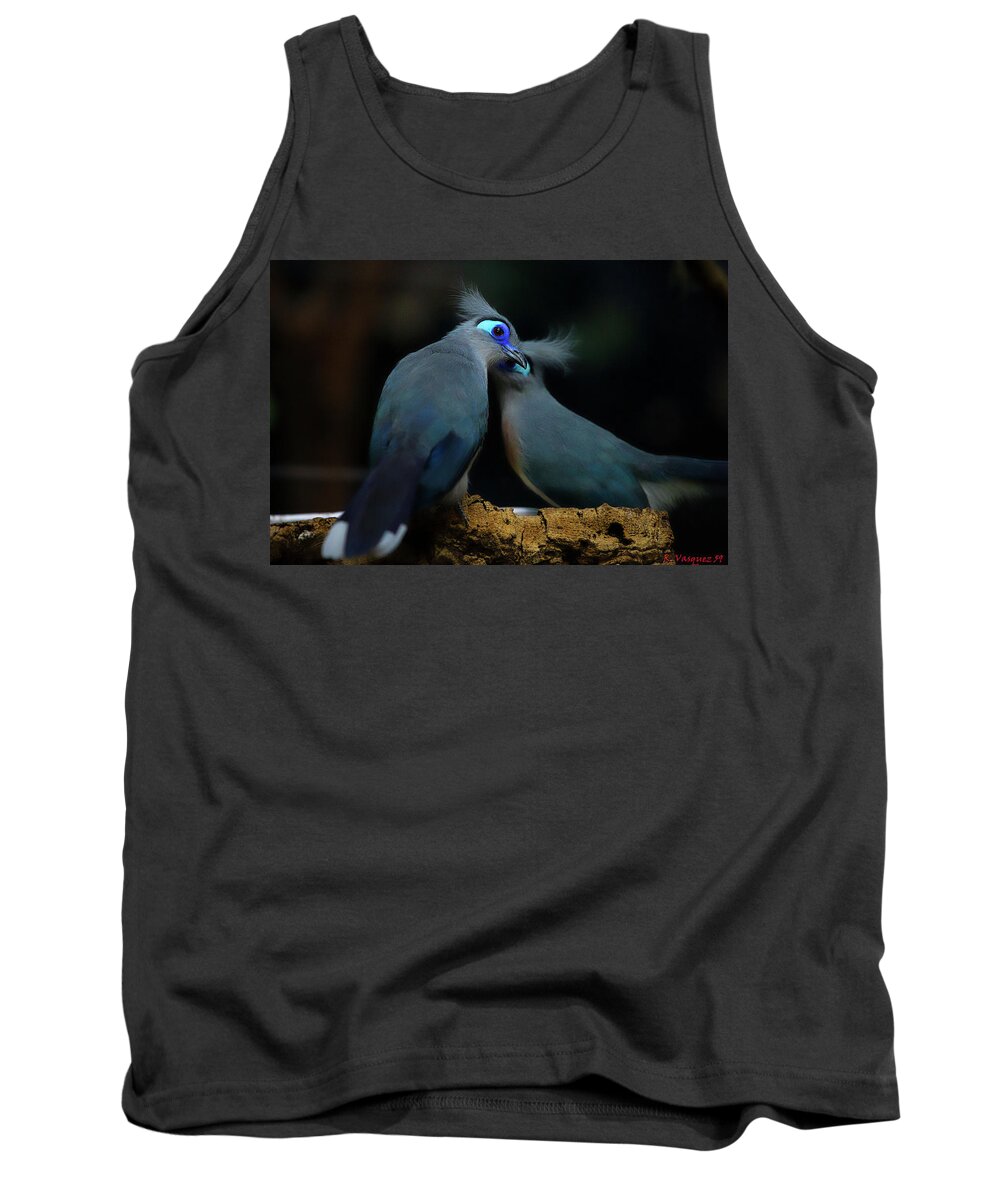 Birds Tank Top featuring the photograph Blue Coua Pair by Rene Vasquez