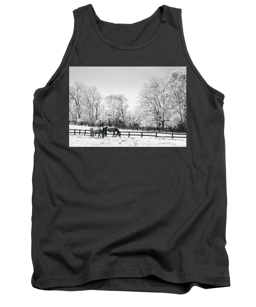 Agriculture Tank Top featuring the photograph Bluegrass horse farm IR by Alexey Stiop
