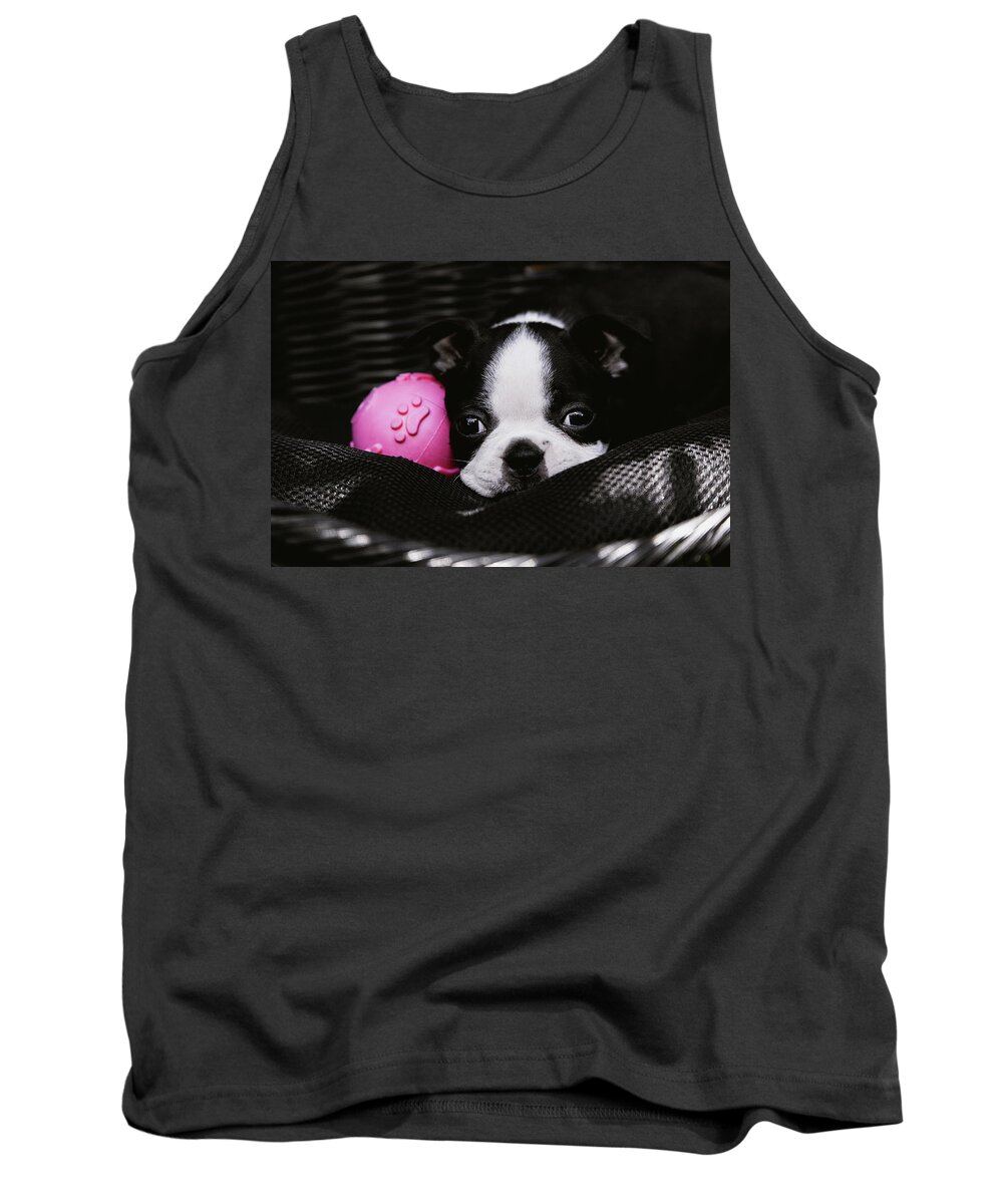 Dog Tank Top featuring the photograph Boston Terrier Puppy with Pink Ball by Jeanette Fellows