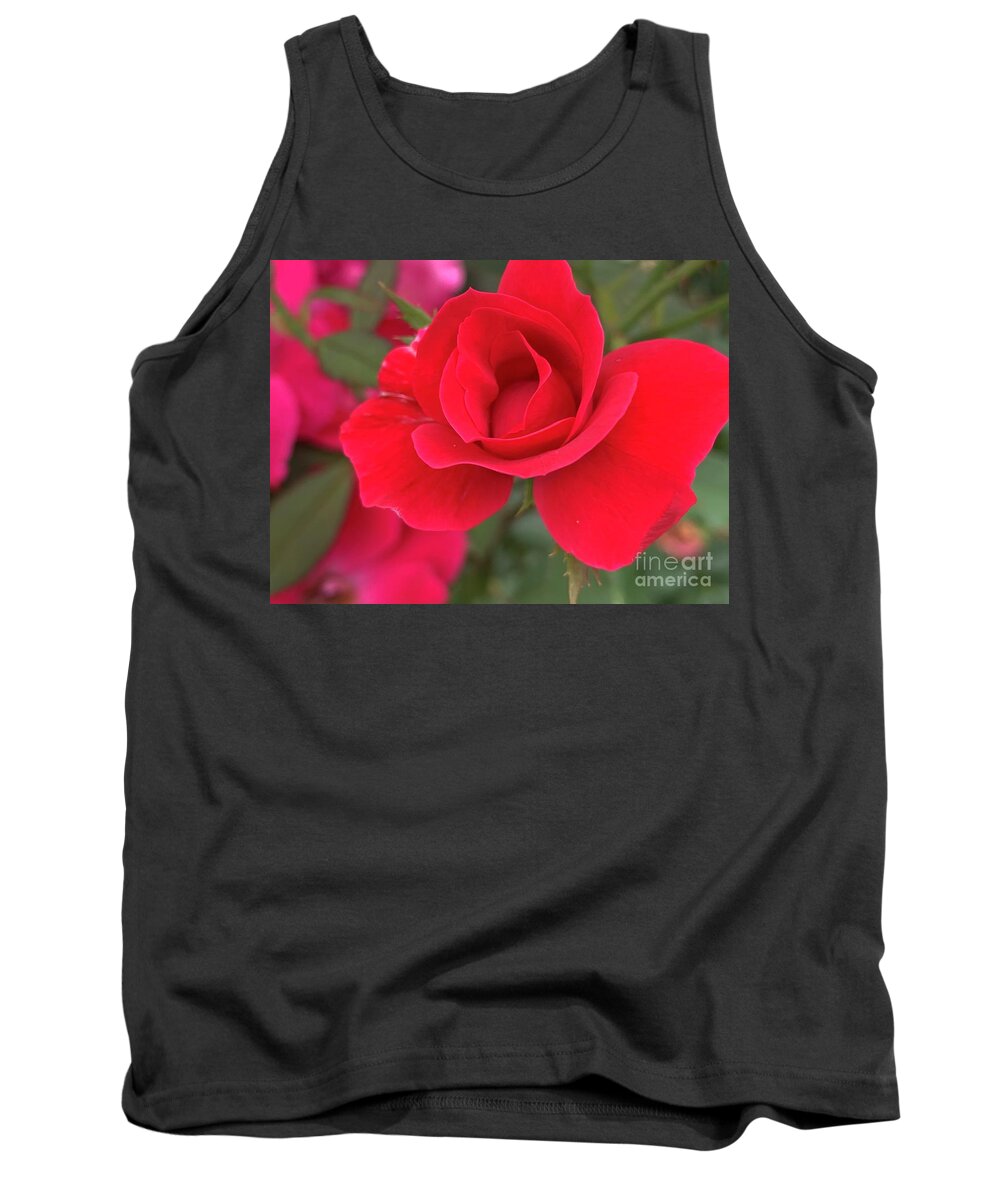 Rose Tank Top featuring the photograph Bright Red Rose by Catherine Wilson