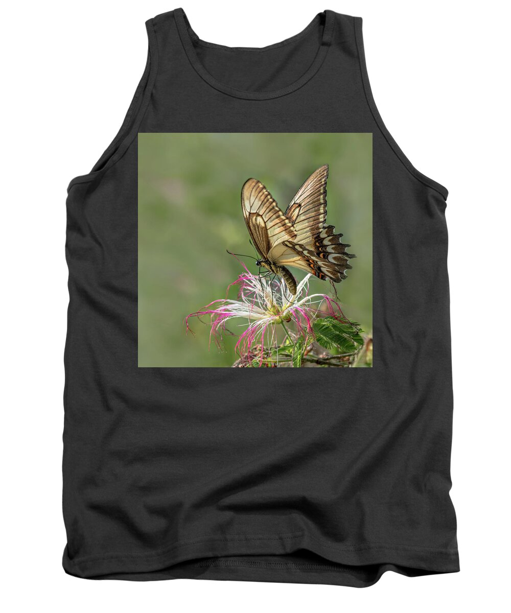 Butterfly Tank Top featuring the photograph Broad Banded Swallowtail Butterlfy by Linda Villers