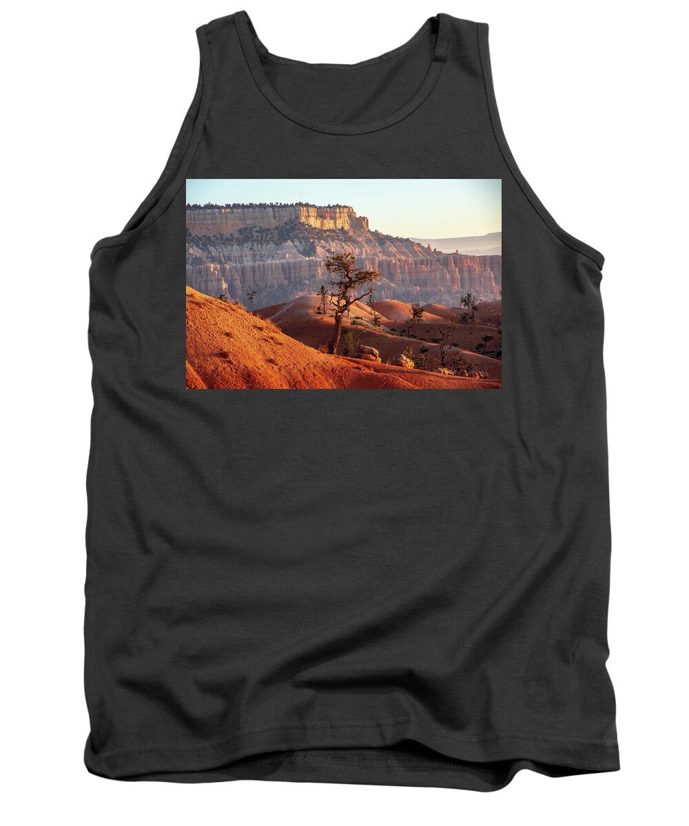 Beauty In Nature Tank Top featuring the photograph Bryce Canyon Sunrise Tree by Nathan Wasylewski
