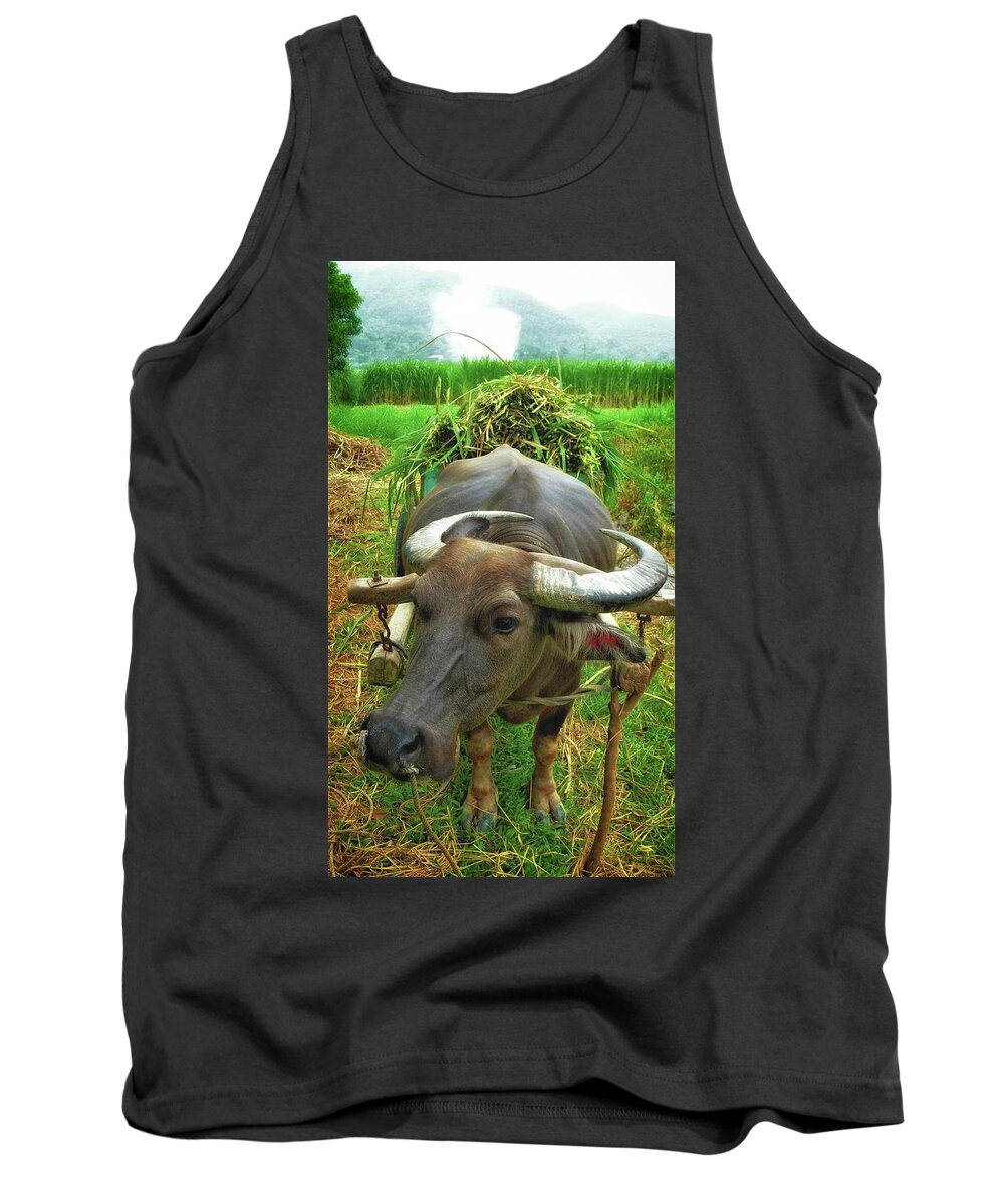 Buffalo Tank Top featuring the photograph Buffalo portrait by Robert Bociaga