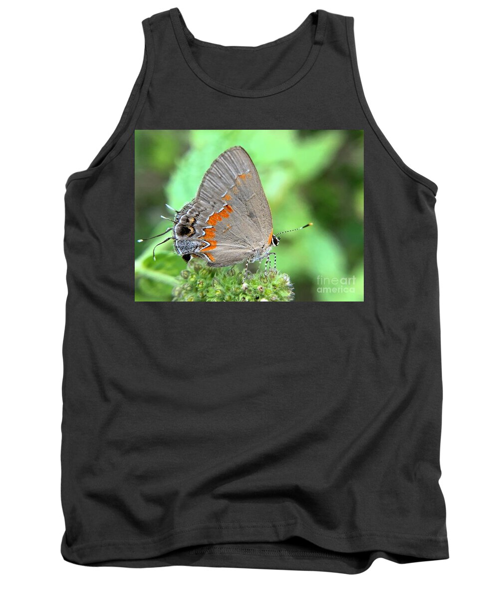Butterfly Tank Top featuring the photograph Butterfly Glow by Catherine Wilson