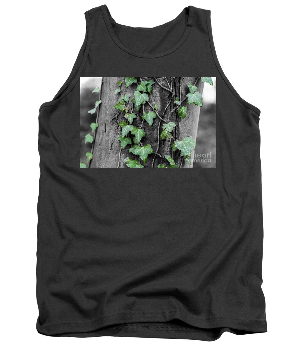 Ivy Tank Top featuring the photograph Captured by ivy by Daniel M Walsh