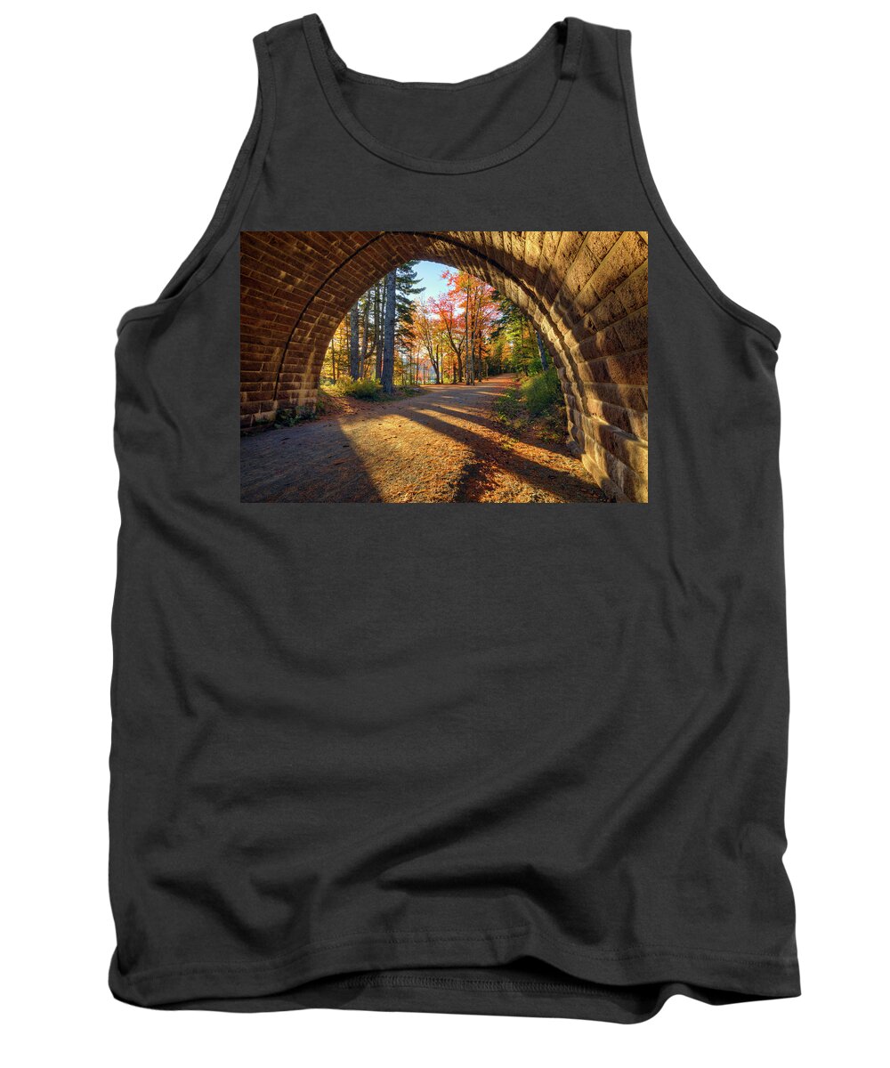 Carriage Road Tank Top featuring the photograph Carriage Road a4570 by Greg Hartford