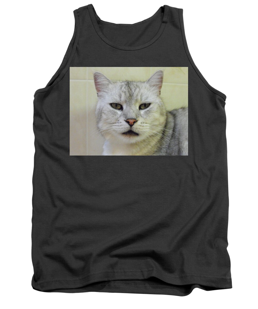 Cat Tank Top featuring the photograph Cat Portrait by Marlene Challis
