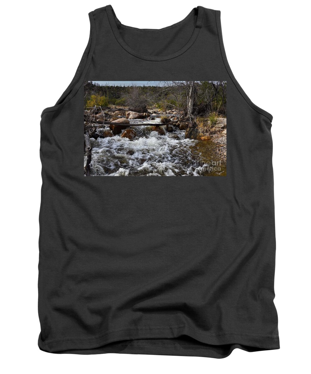 Catalina Mountains Tank Top featuring the digital art Catalina Mountains by Tammy Keyes