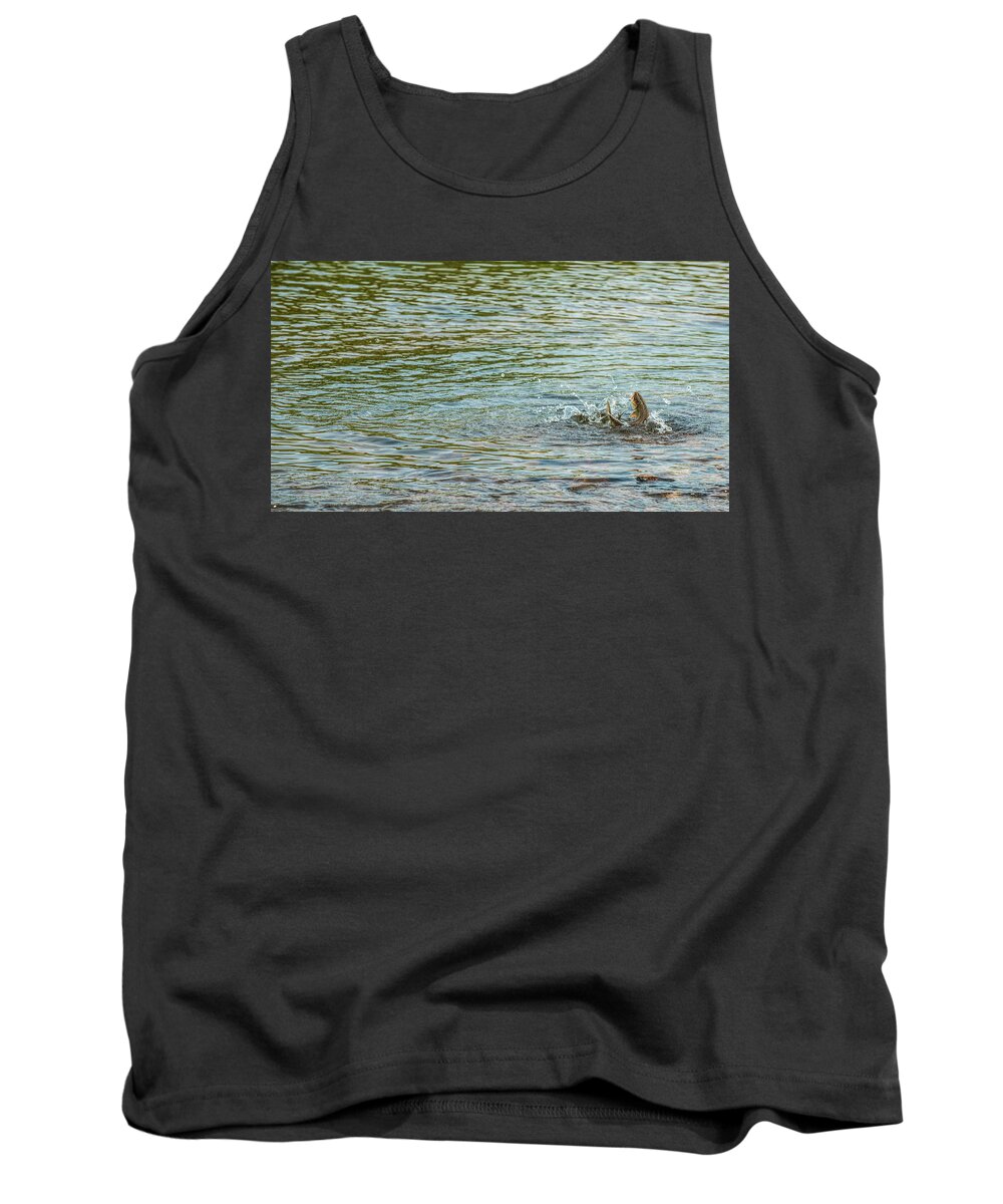 Fly Fishing Tank Top featuring the photograph Catch and Release by Pamela Dunn-Parrish