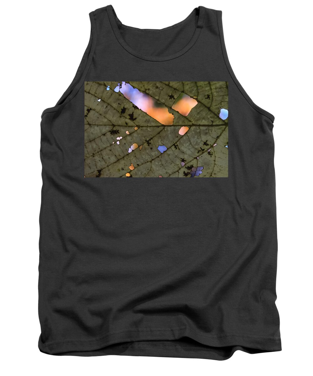 Leaf Tank Top featuring the photograph Catching Light by Bonny Puckett