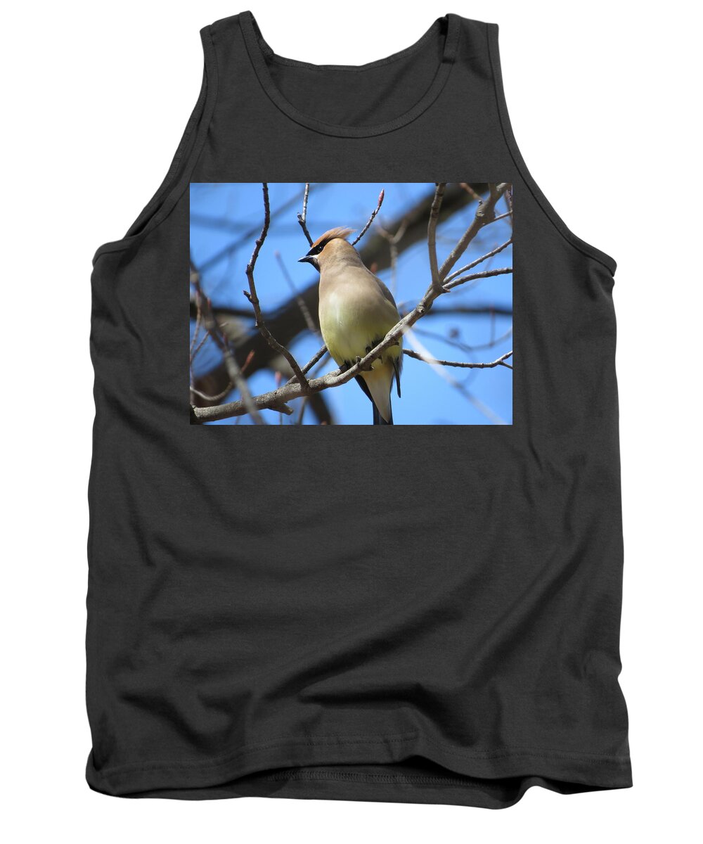 Nature Tank Top featuring the photograph Cedar Waxwing - #13238 by StormBringer Photography