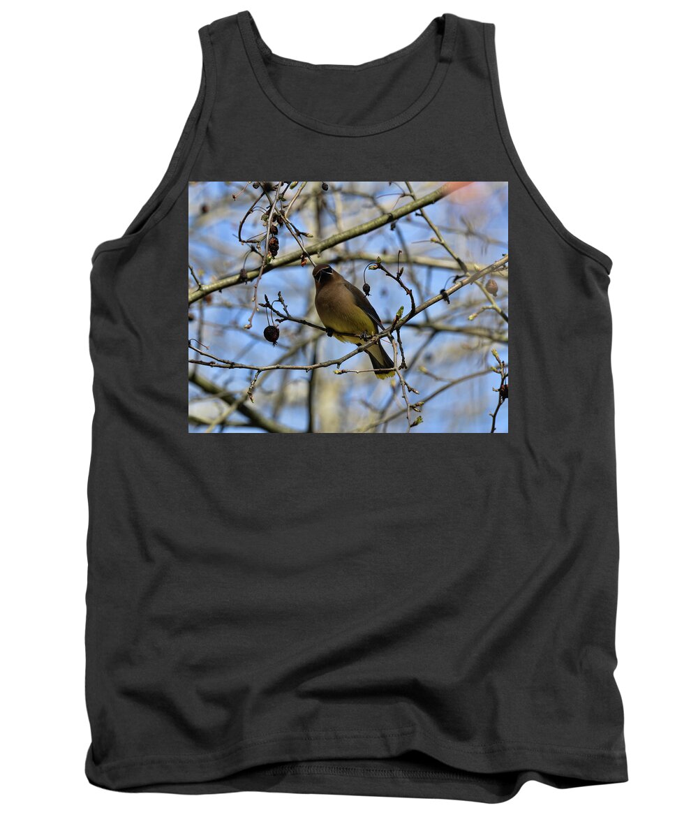  Tank Top featuring the photograph Cedar Waxwing 3 by David Armstrong