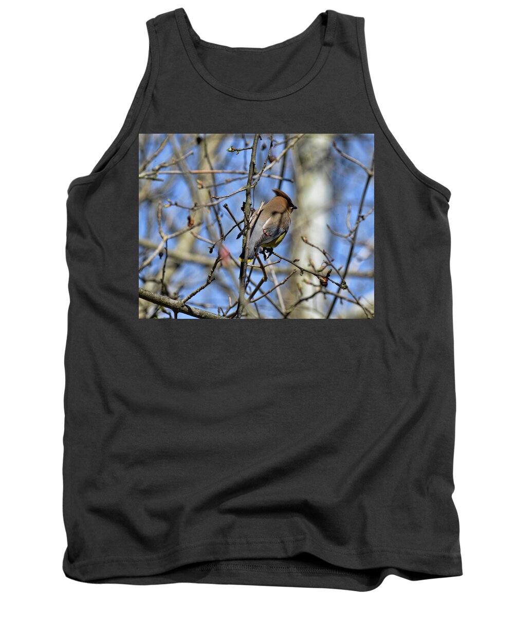  Tank Top featuring the photograph Cedar Waxwing 4 by David Armstrong