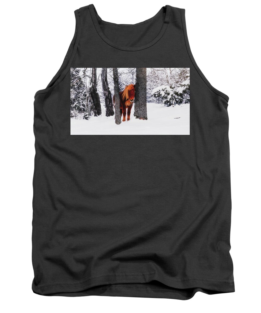 Horse Tank Top featuring the photograph Chestnut Horse Between Trees in Snowy Winter Landscape - Matte by Nicklas Gustafsson