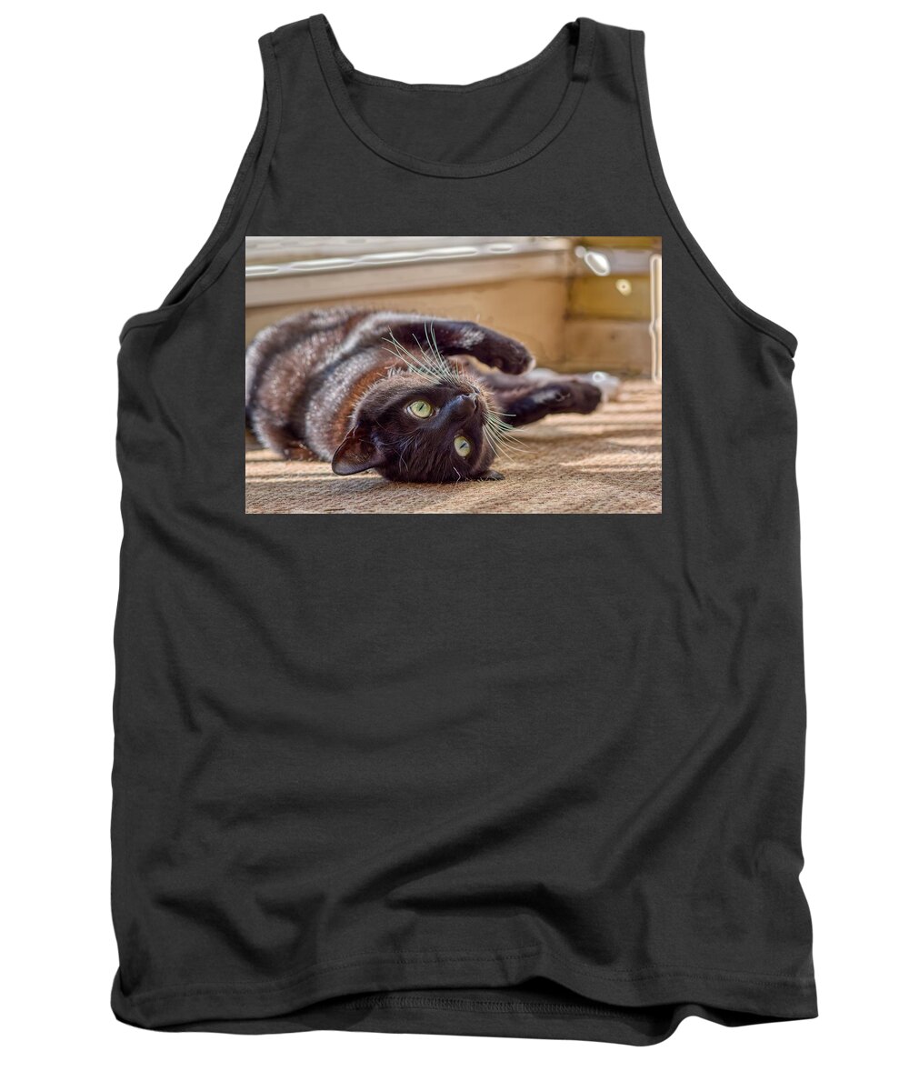 Cat Tank Top featuring the photograph Chillin At Home by Raymond Hill