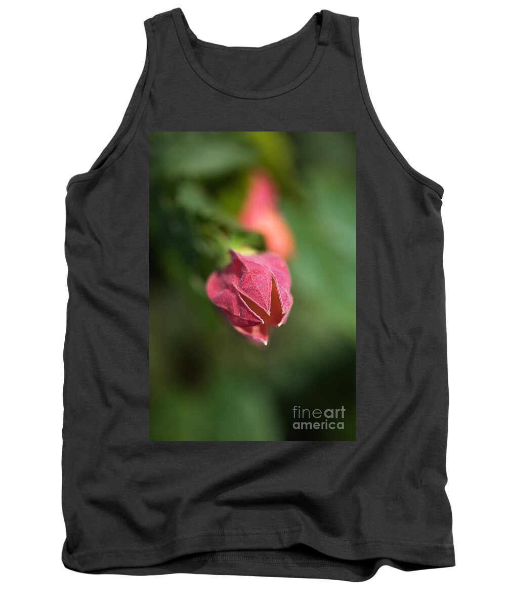 Chinese Lantern Growing Tank Top featuring the photograph Chinese Lantern Growing by Joy Watson