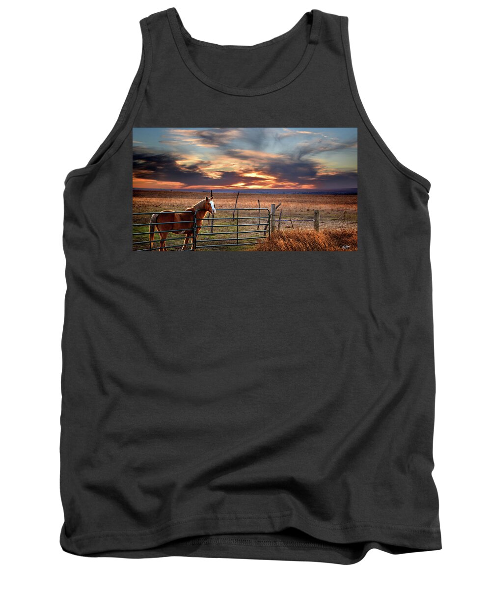 Horse Tank Top featuring the photograph Christmas Sunset by Rod Seel
