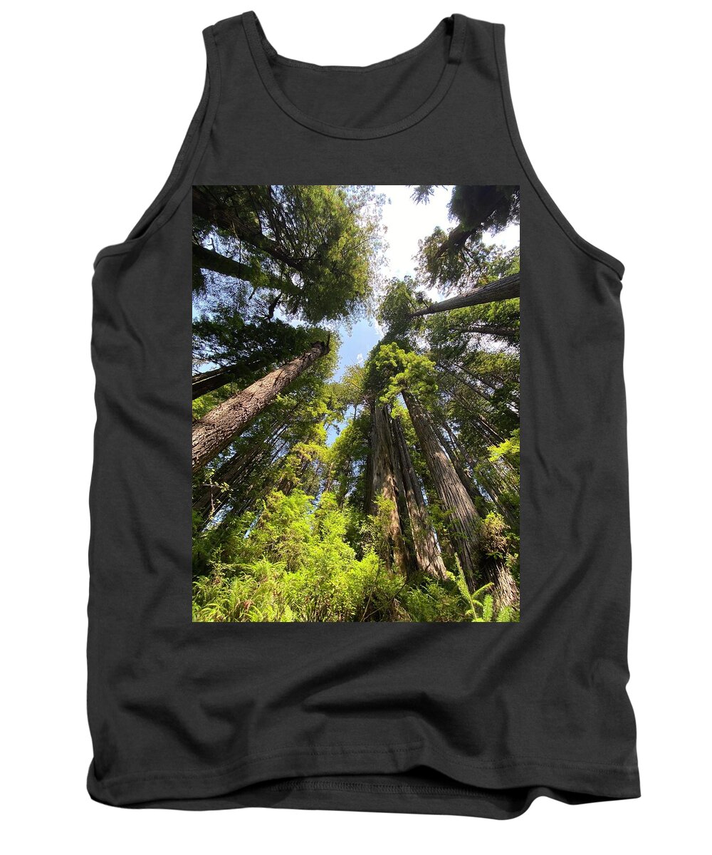 Redwoods Tank Top featuring the photograph Circle of Friends by Daniele Smith