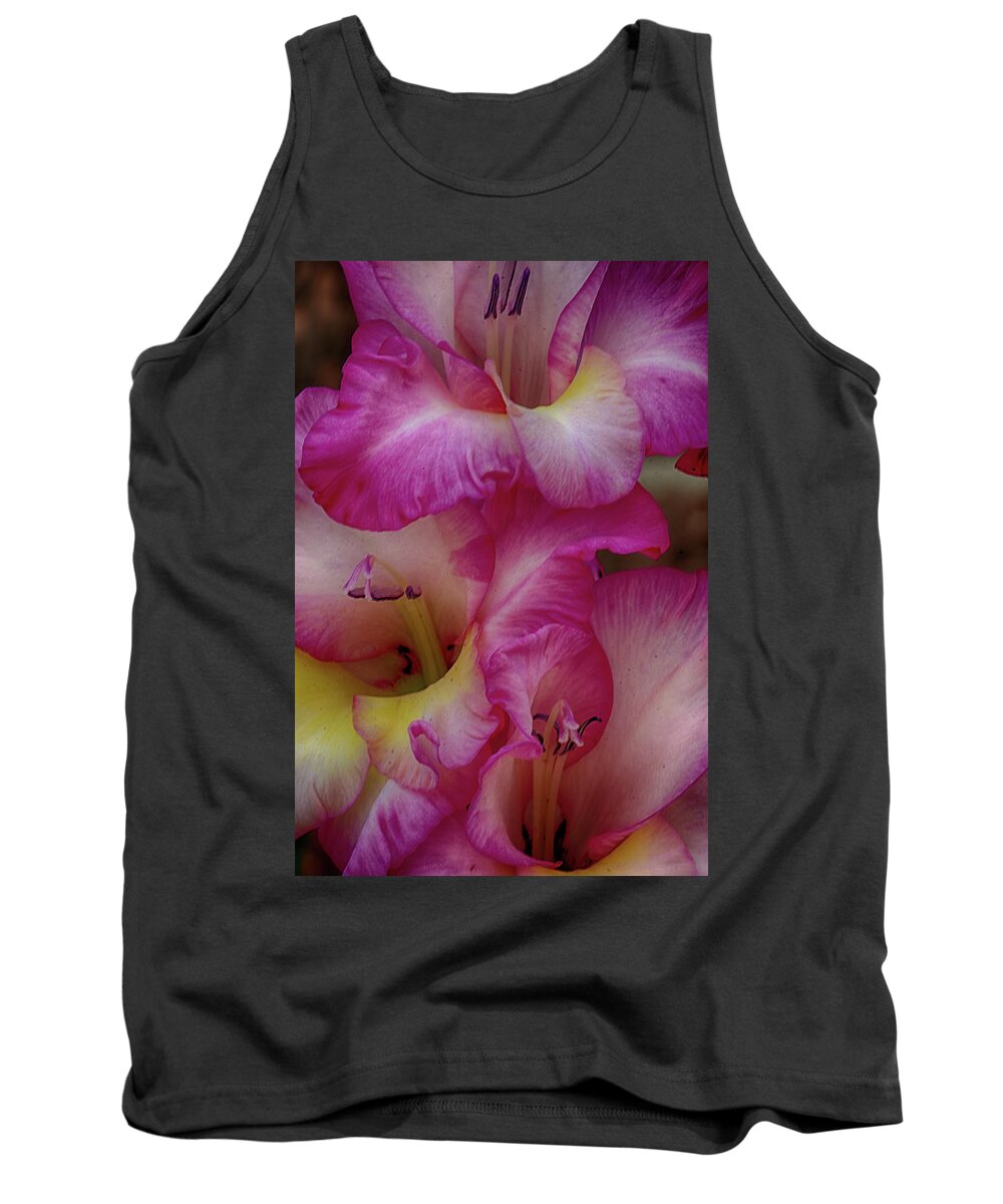 Blooming Tank Top featuring the photograph Close-up of Pink Iris Flowers by Charles Floyd