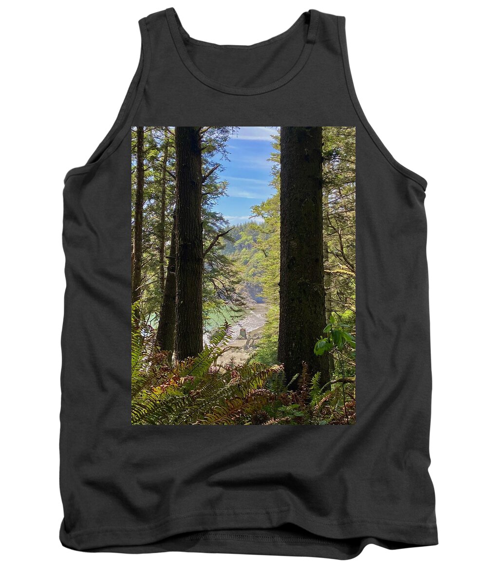 College Cove Tank Top featuring the photograph College Cove by Daniele Smith