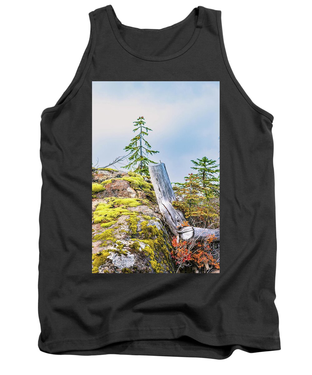 Landscapes Tank Top featuring the photograph Colors Of Fall by Claude Dalley