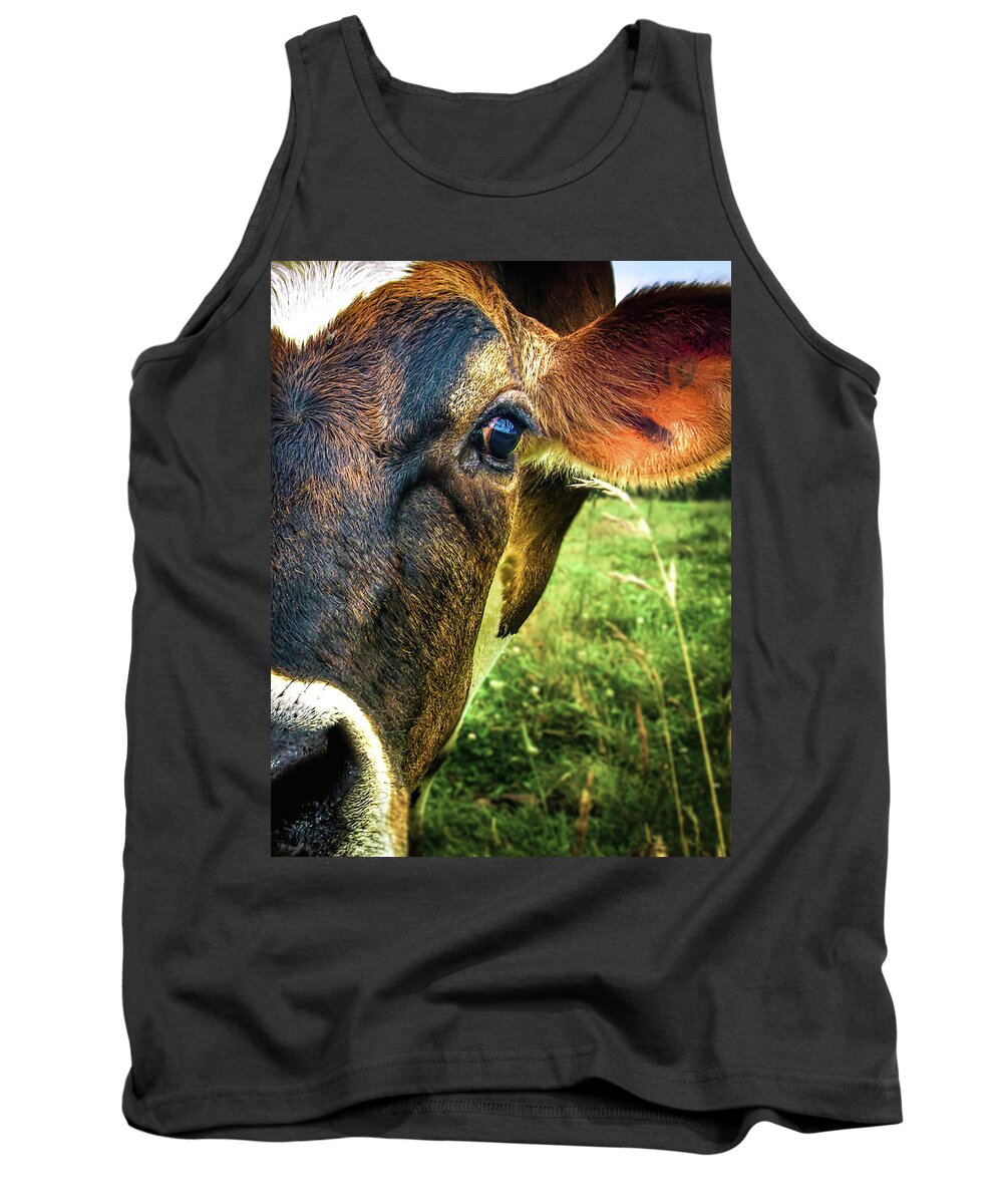Cows Tank Top featuring the photograph Cow eating grass by Bob Orsillo