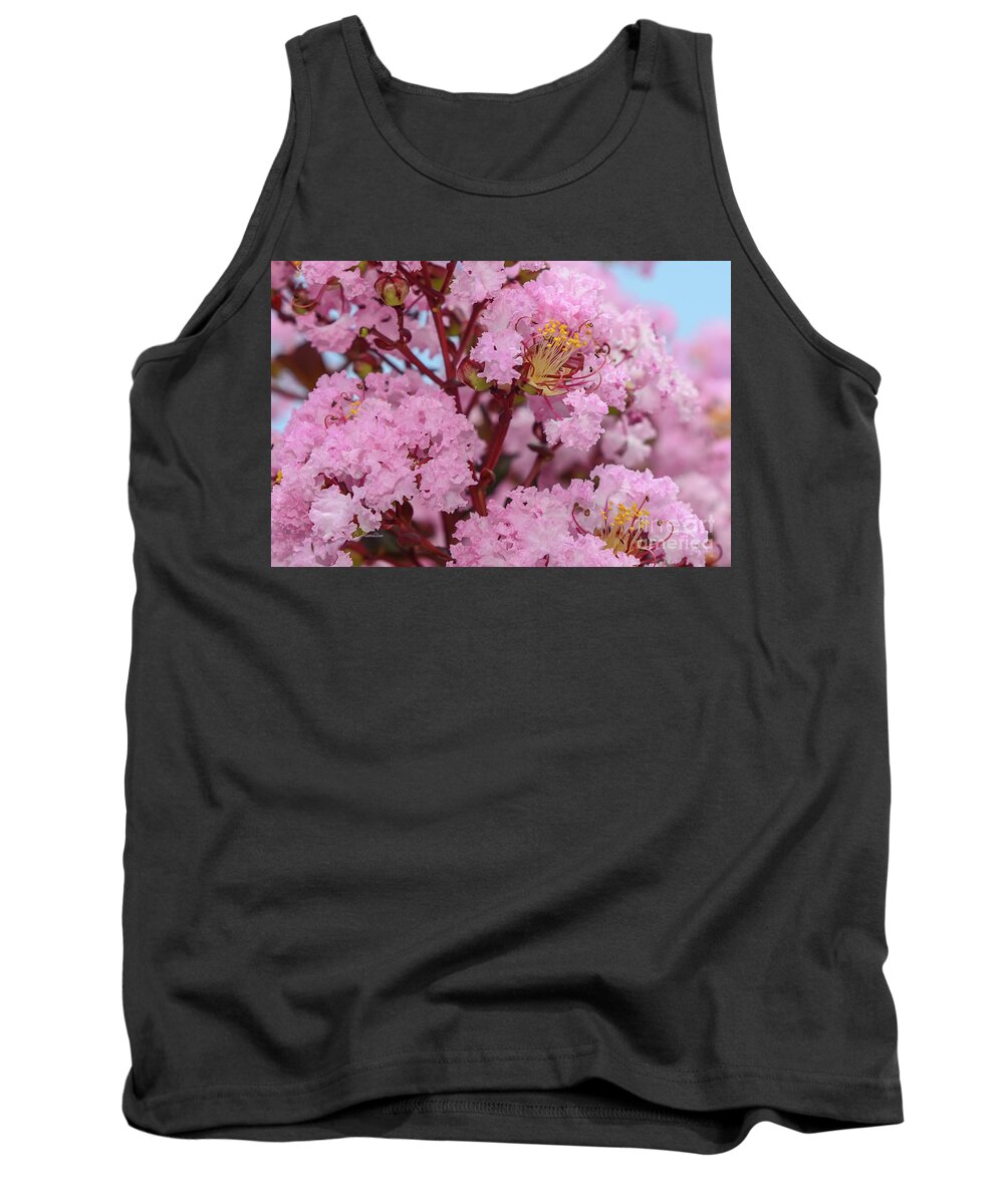 Crepe Myrtle Tank Top featuring the photograph Crepe Myrtle Flowers by Olga Hamilton