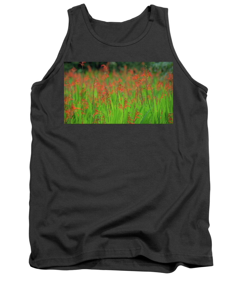 Background Tank Top featuring the photograph Crocosmia Montbretia on a sunny day by Jean-Luc Farges