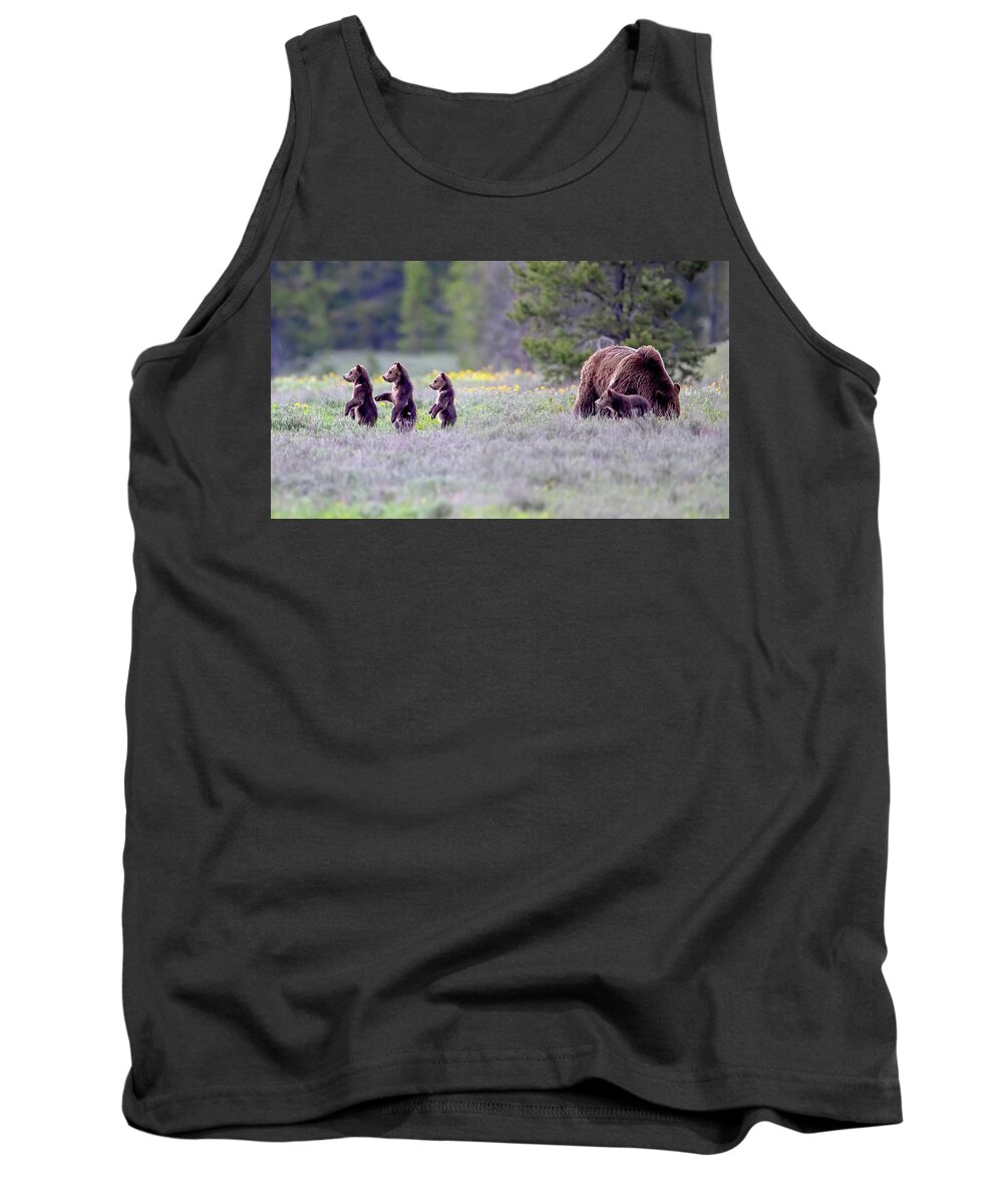 Grizzly Bear Tank Top featuring the photograph Cub Scouts by Jack Bell