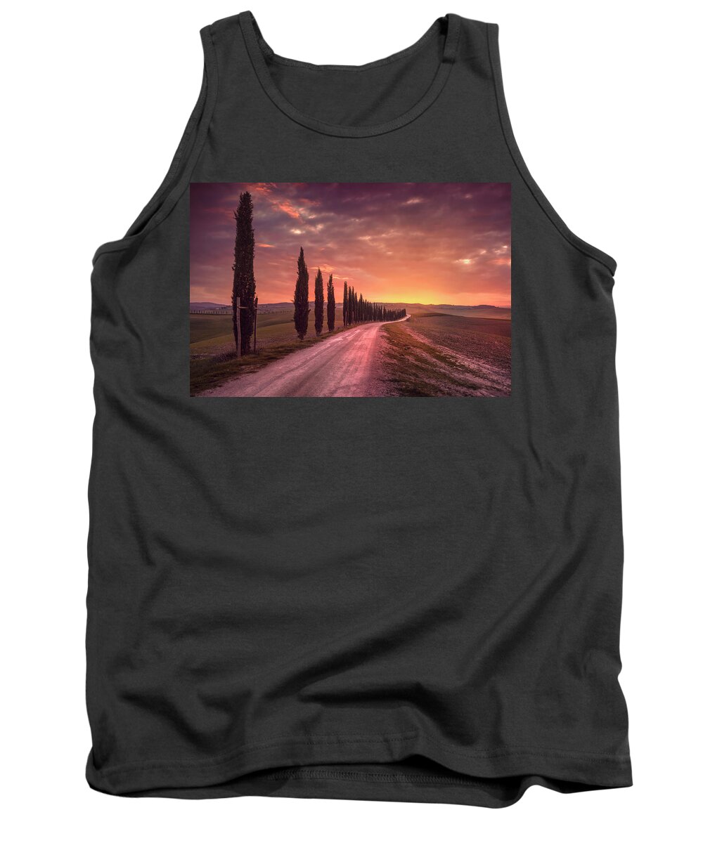 Tree Tank Top featuring the photograph Cypress tree lined road in the countryside of Tuscany, Italy by Stefano Orazzini