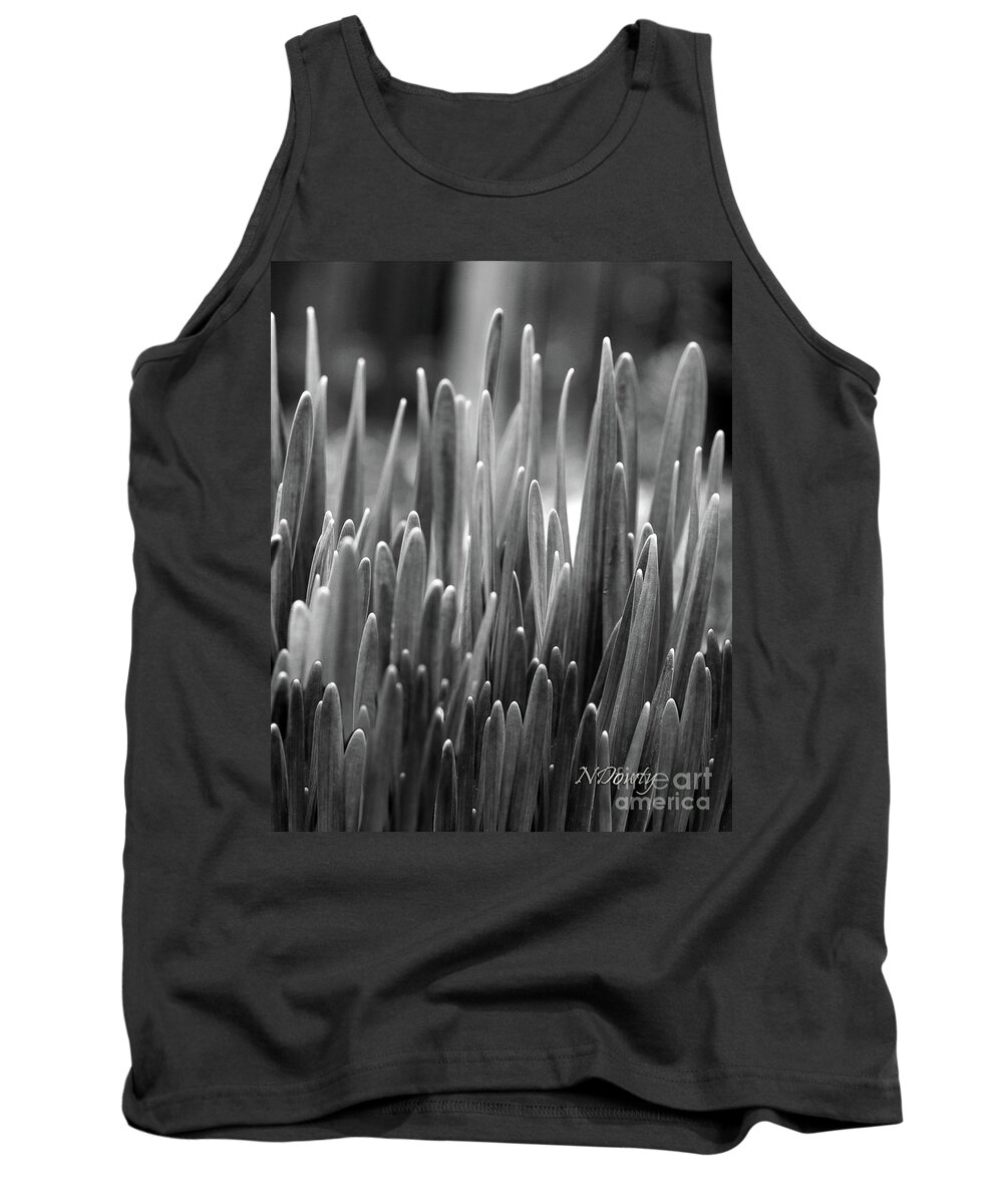 Daffodil Shoots Bw Tank Top featuring the photograph Daffodil Shoots by Natalie Dowty