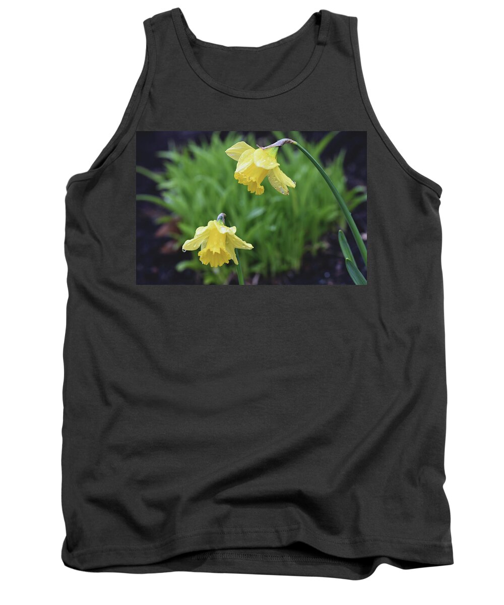 Daffodils Tank Top featuring the photograph Daffodils by Jerry Cahill
