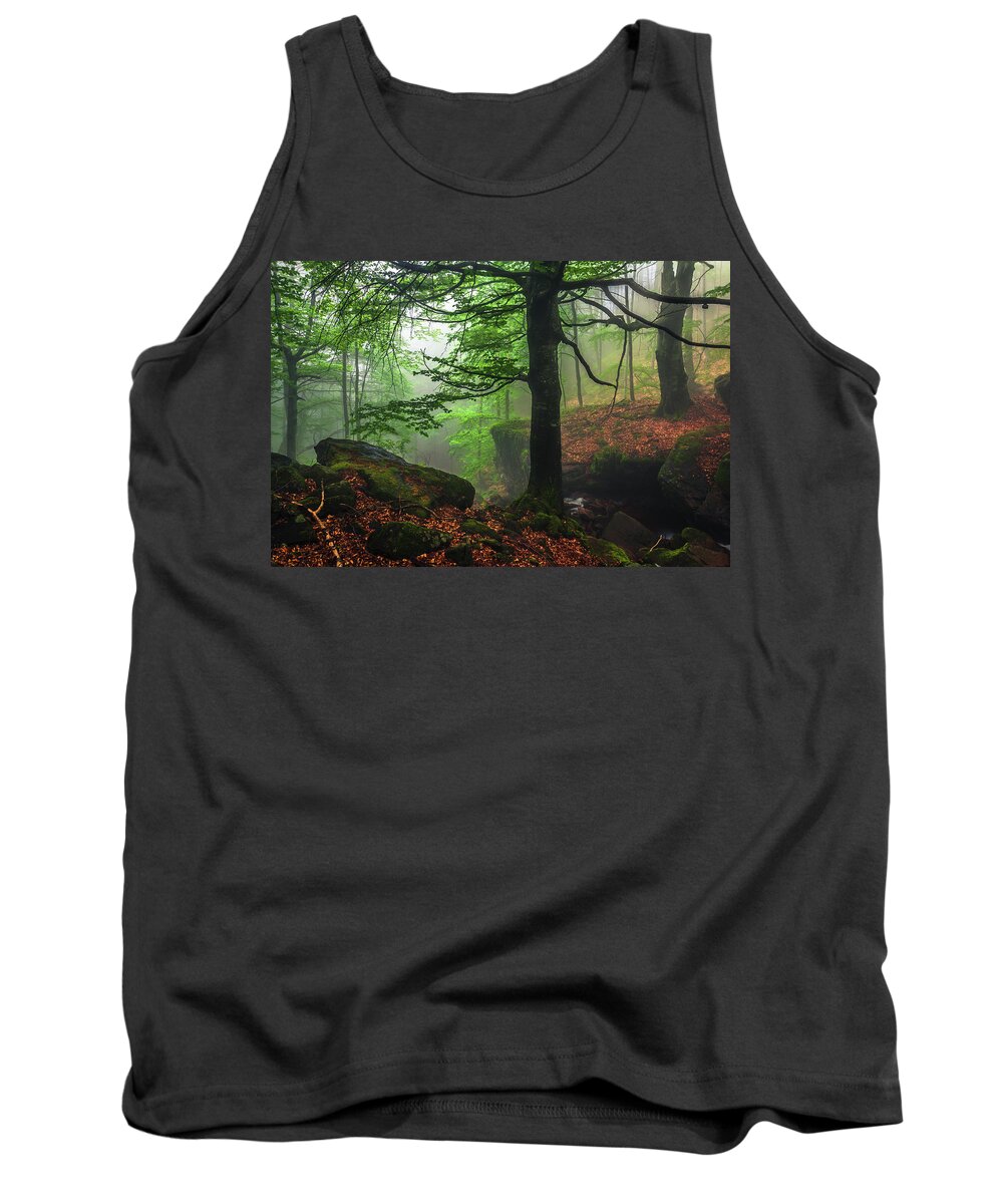 Fog Tank Top featuring the photograph Dark Forest by Evgeni Dinev