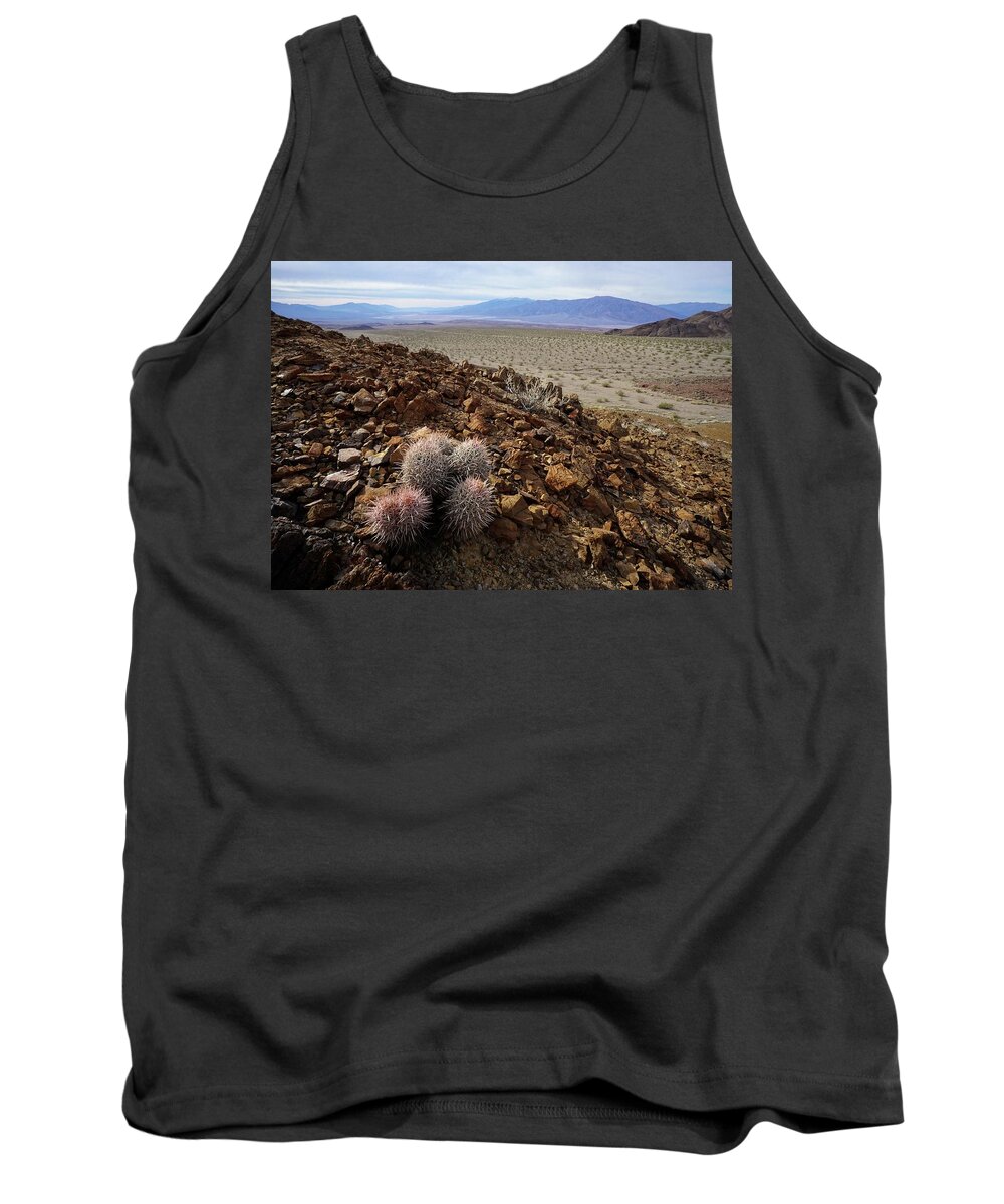 Hell’s Gate Tank Top featuring the photograph Death Valley Tough by Brett Harvey