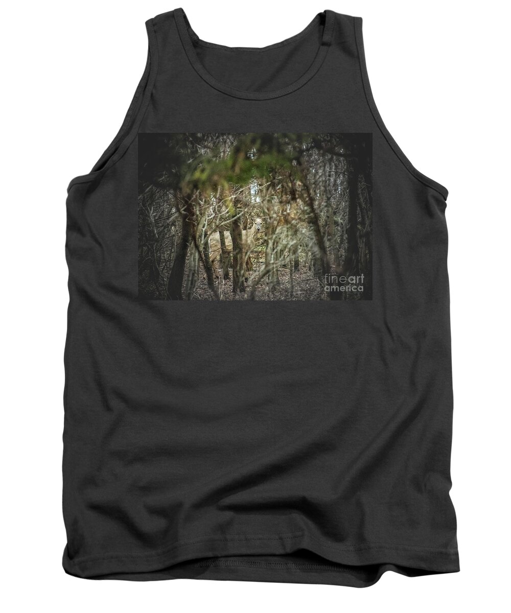 Deer Of The Woods Tank Top featuring the photograph Deer of the Woods by Troy Stapek