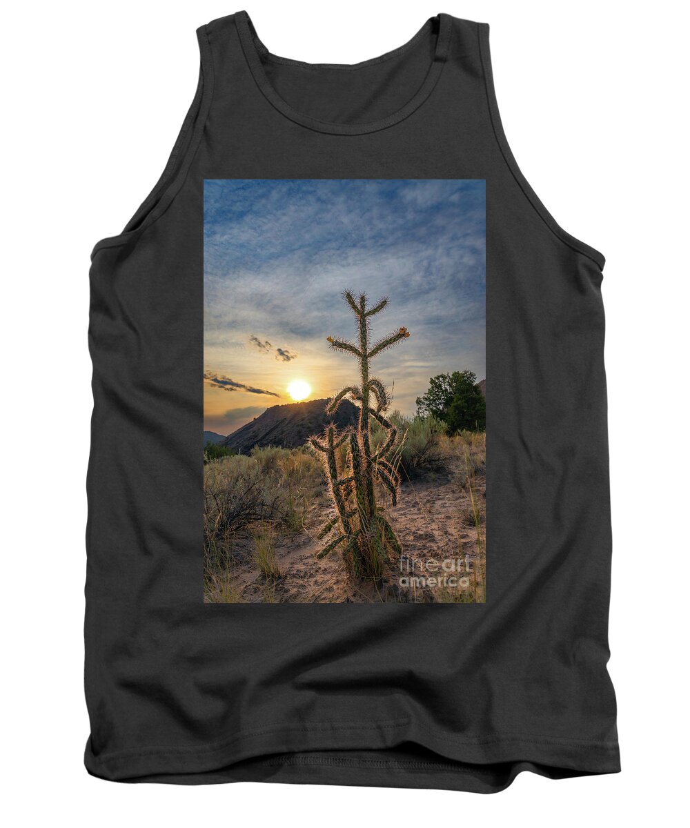 Taos Tank Top featuring the photograph Dixon Cactus 1 by Elijah Rael