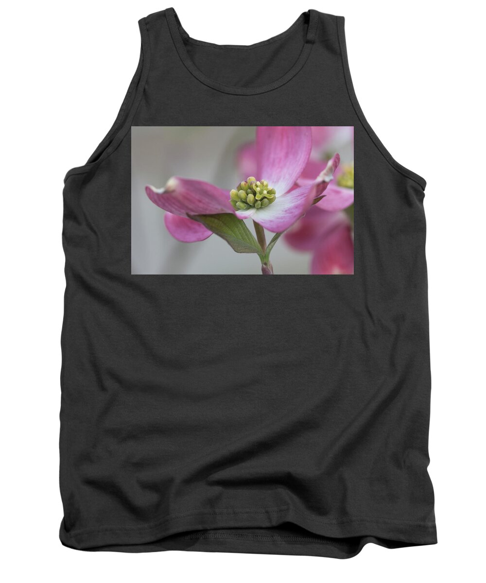 Flower Tank Top featuring the photograph Dogwood by David Beechum