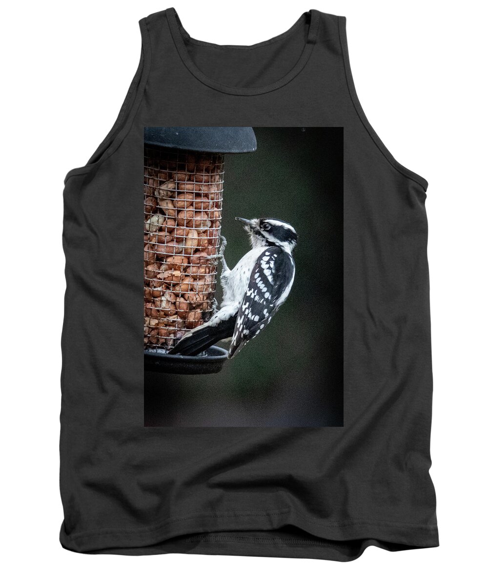 2019 Tank Top featuring the photograph Downy Woodpecker 1 by Gerri Bigler