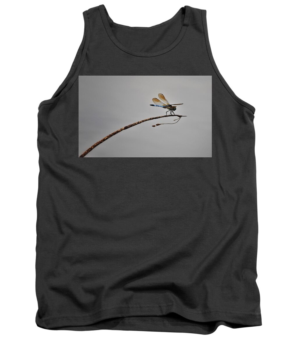 Photo Tank Top featuring the photograph Dragonfly Over Lake by Evan Foster