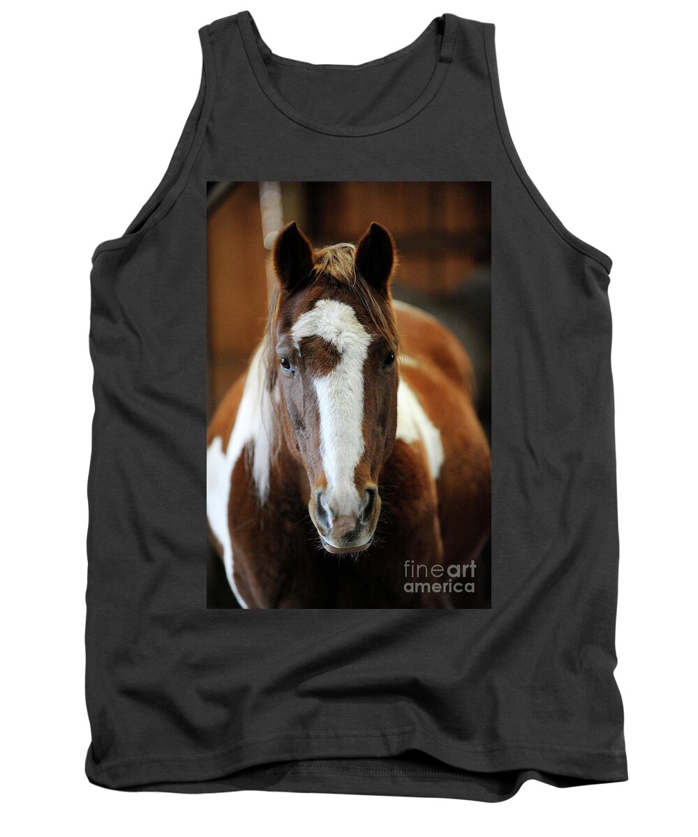 Rosemary Farm Tank Top featuring the photograph Duke by Carien Schippers