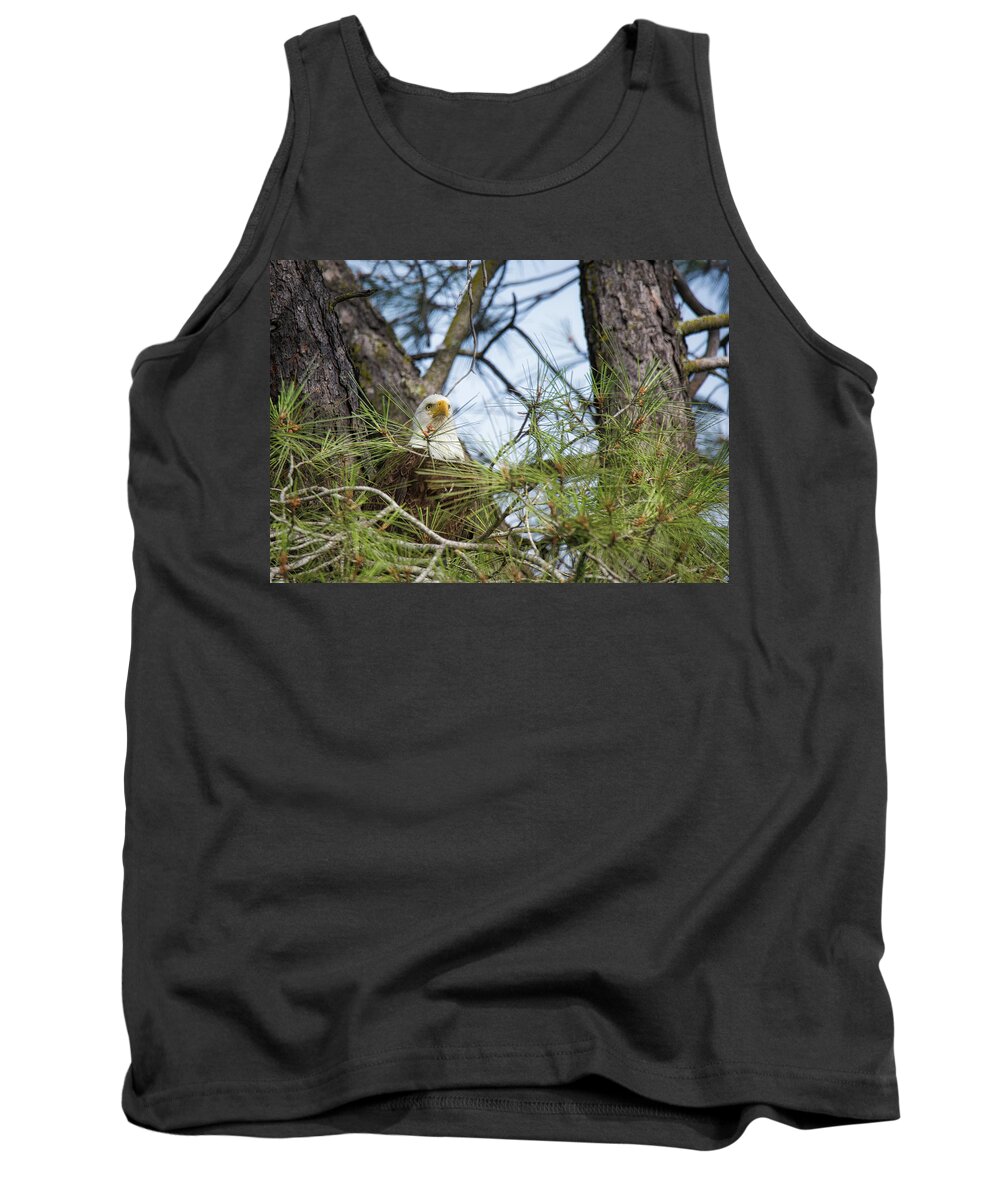 Eagle Tank Top featuring the photograph Eagle Eyes by Steph Gabler