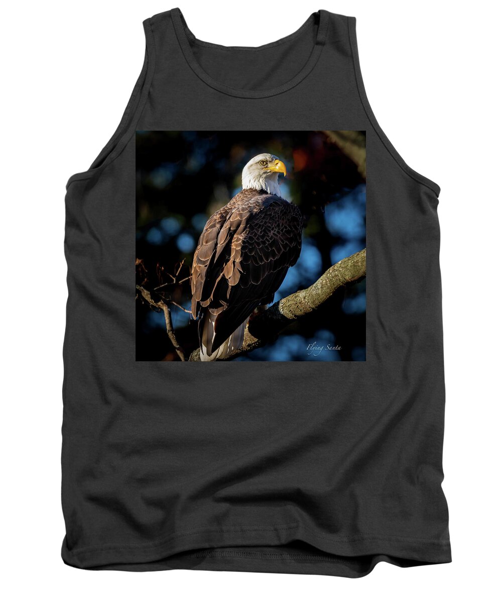Eagle Tank Top featuring the photograph Eagle on a Branch by William Bretton