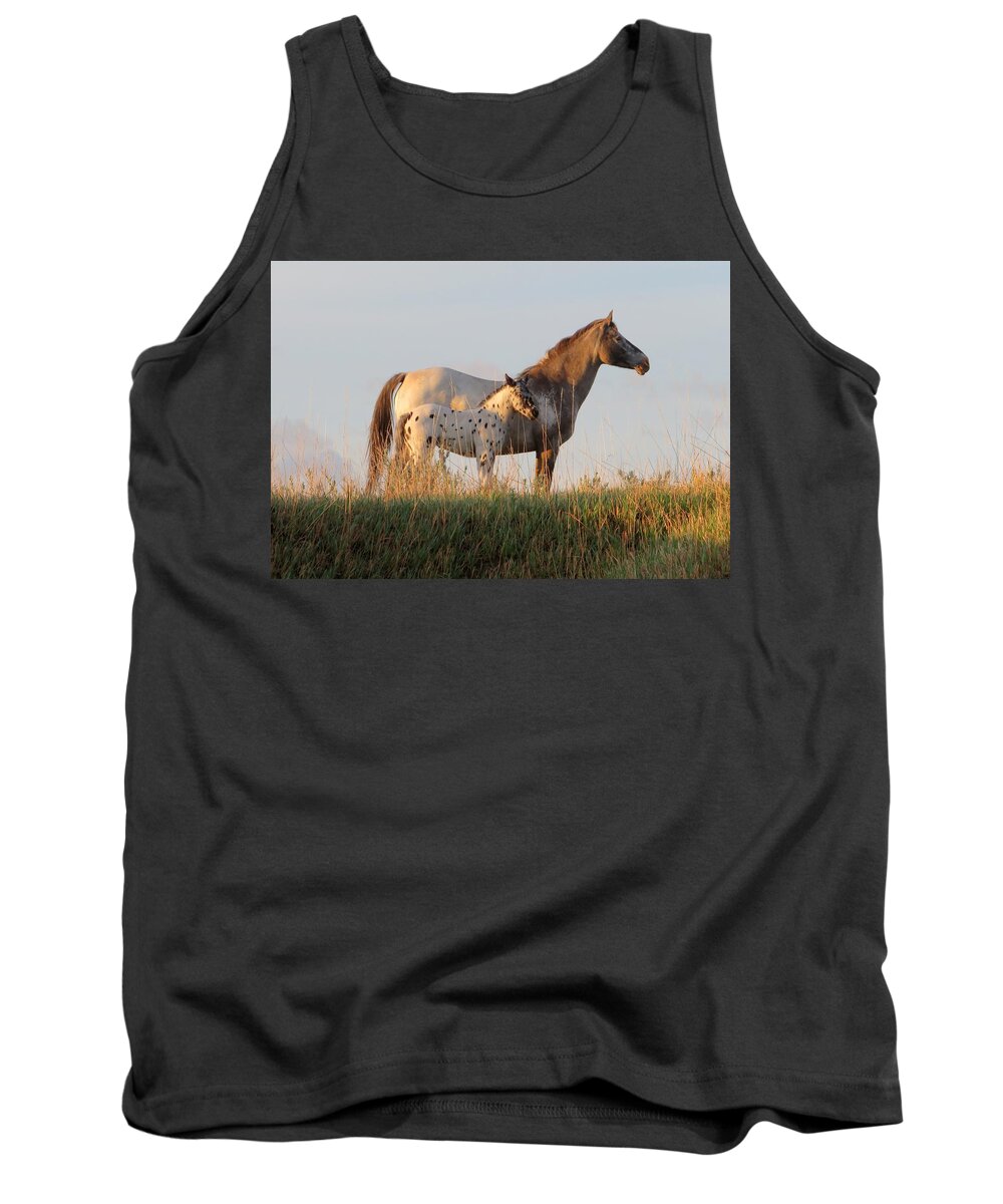 Horse Tank Top featuring the photograph Early Morning Light by Katie Keenan