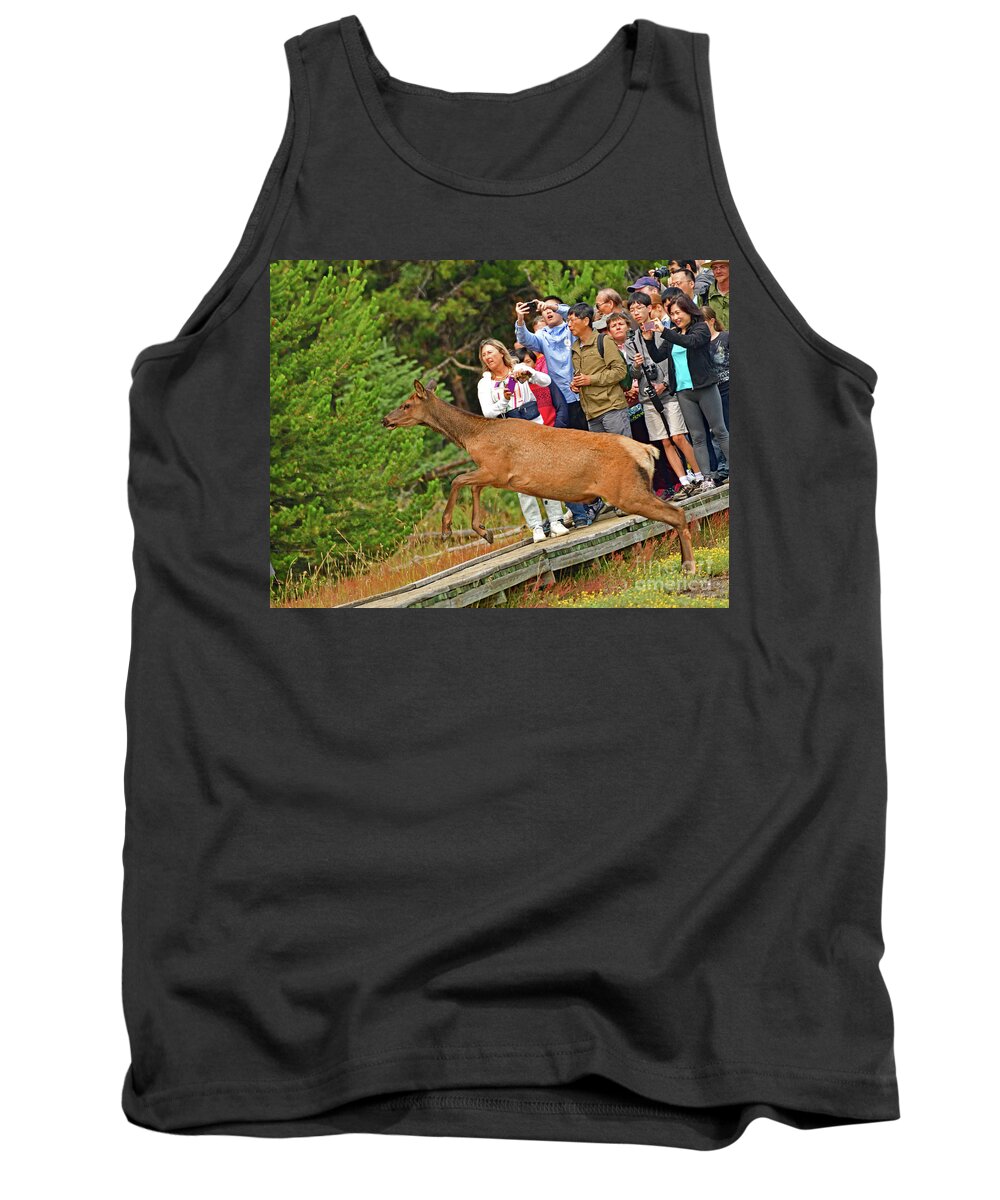 Elk Tank Top featuring the photograph Elk In the Air by Amazing Action Photo Video