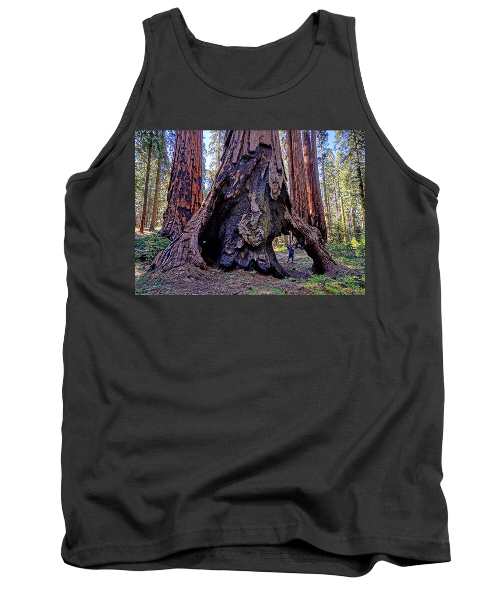 Giant Sequoia Tree Tank Top featuring the photograph Encounter by Brett Harvey