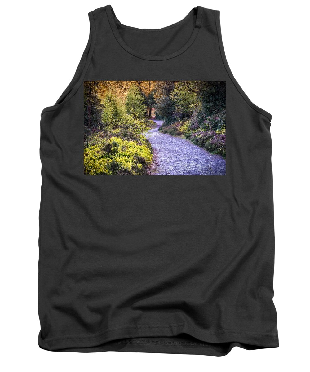 Woodland Tank Top featuring the photograph Exploring Colour by Chris Boulton