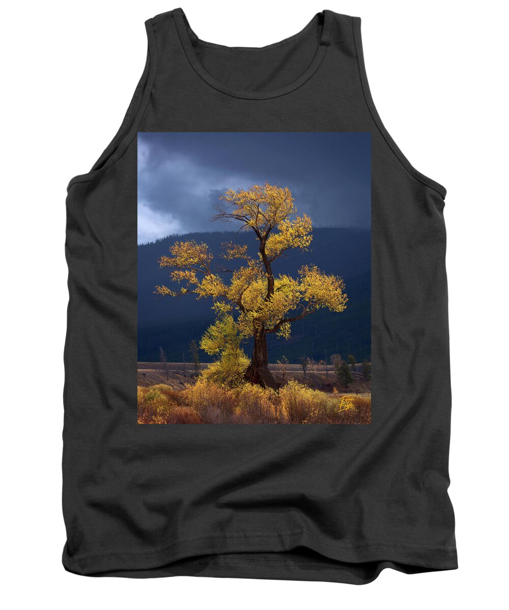 200-400mm Tank Top featuring the photograph Facing The Storm by Edgars Erglis
