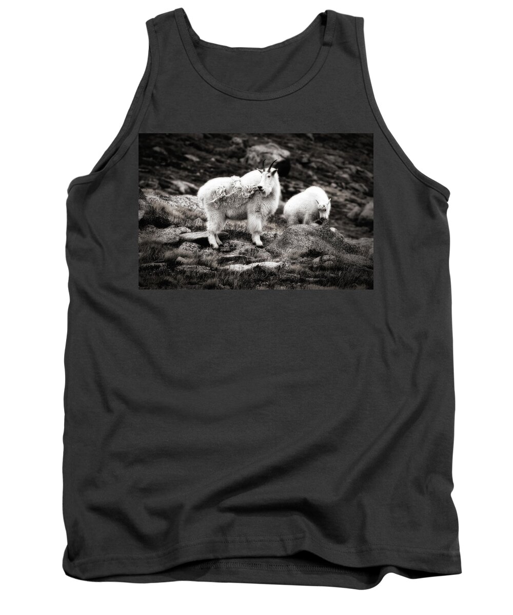 Colorado Tank Top featuring the photograph Family Time by Bitter Buffalo Photography