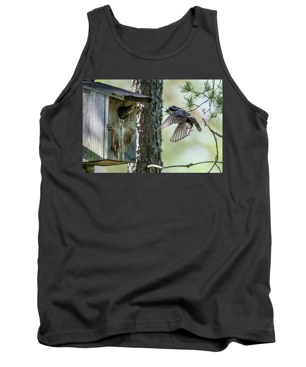 Feeding Flying Starling Tank Top featuring the photograph Feeding Flying Starling by Torbjorn Swenelius